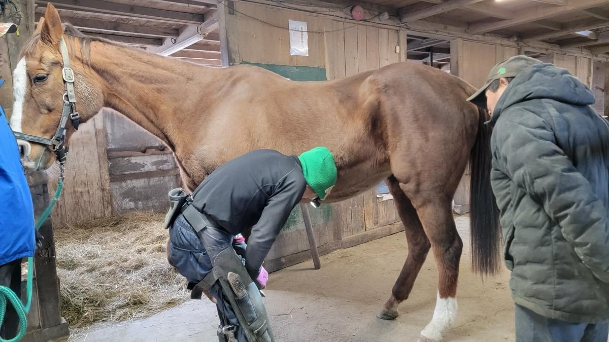 3dfd4fcecfc8a1d46aa4d5745232e000-1765760438.jpg 3dfd4fcecfc8a1d46aa4d5745232e000-1765760438.jpg